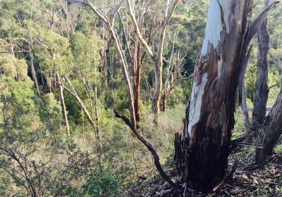 Plenty Gorge Park