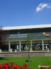 Eskişehir ETİ Archaeological Museum