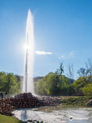 Andernach Geyser