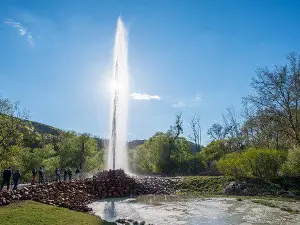 Geysir Andernach