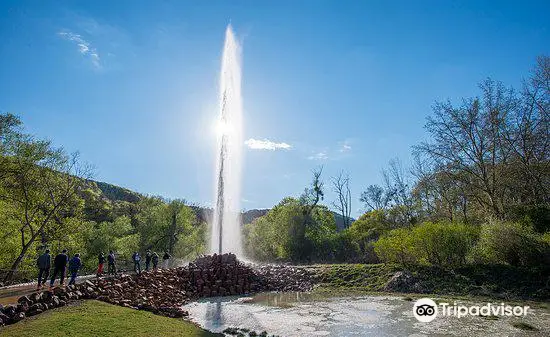 Andernach Geyser