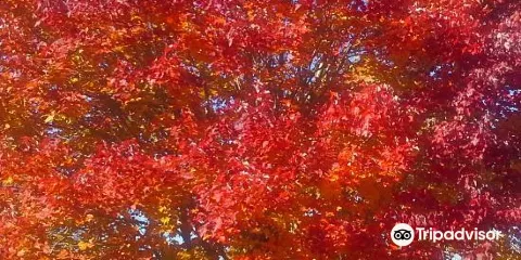 Village of Yesteryear