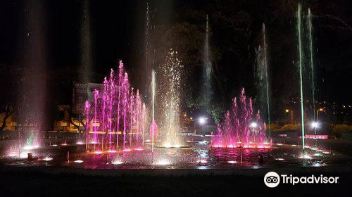 Fuente del Bicentenario