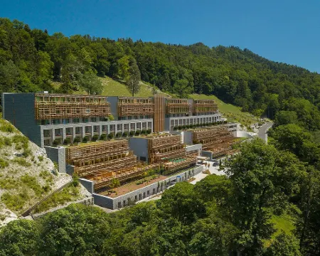 Waldhotel by Bürgenstock Hotels in Nidwalden