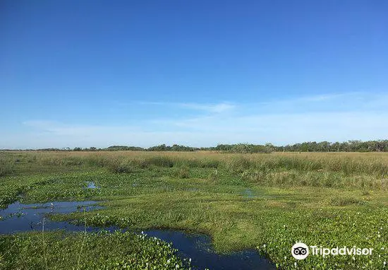 Parque Nacional Ibera