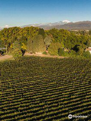 Bodega Hacienda del Plata