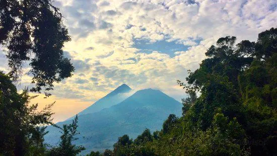 Virunga Volcanoes