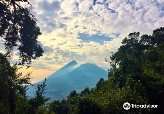 Virunga Volcanoes