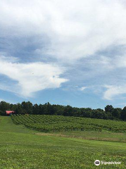 Honker Hill Winery