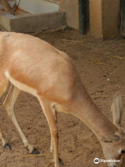 Ben Aknoun National Park