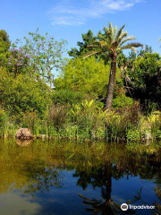 Jardín Botánico El Arboreto