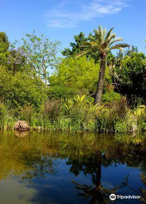 Jardin Botanico El Arboreto