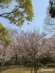 Hirachi Park