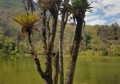 Laguna de Ubaque