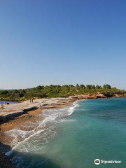 Playa de Santes Creus