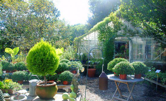 Monches Flower Farm