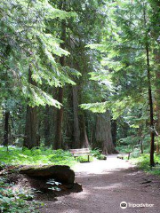 Ross Creek Cedar Grove Scenic Area