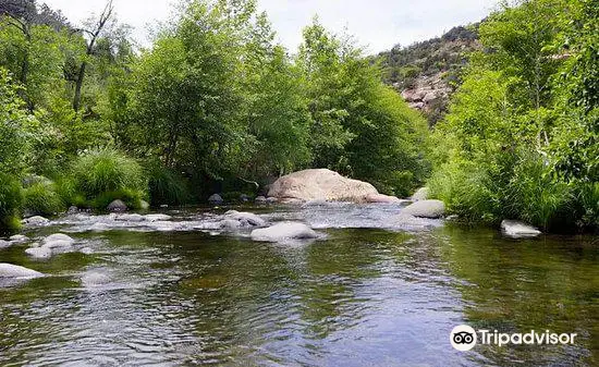 Grasshopper Point Picnic Area