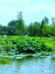 Parco Angelo e Lina Nocivelli