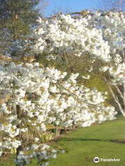 Bluebell Arboretum and Nursery