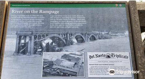 Douglas Memorial Bridge - Historical Memorial