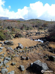 1100高地生態濕地