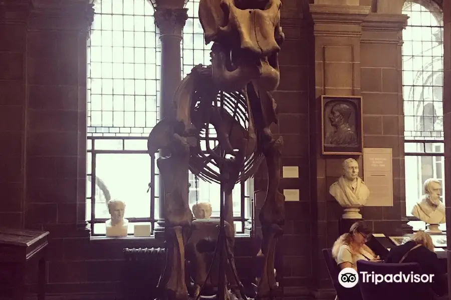 The Anatomical Museum, The University of Edinburgh