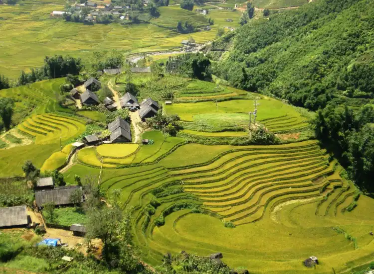 Hotels near Muong Hoa valley