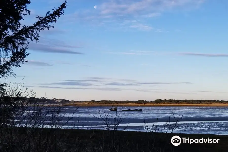 Bandon Marsh National Wildlife Refuge