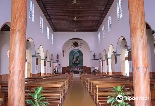 Catedral Nossa Senhora do Seringueiro