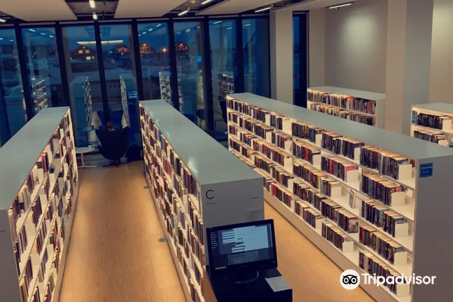 Bodø Public library
