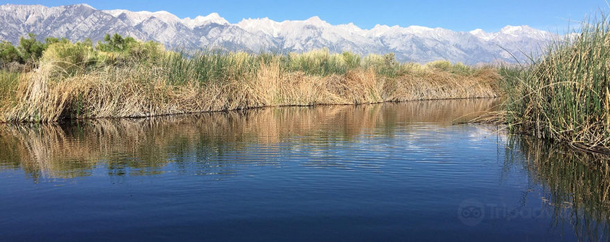 Owens River