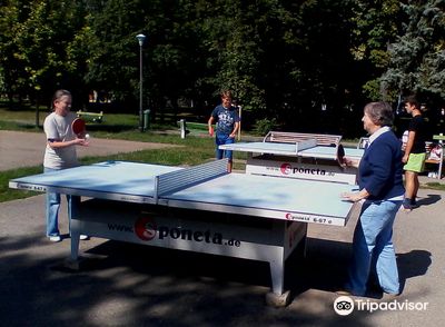 Ion C. Bratianu Park