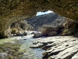 Cave Stream Scenic Reserve