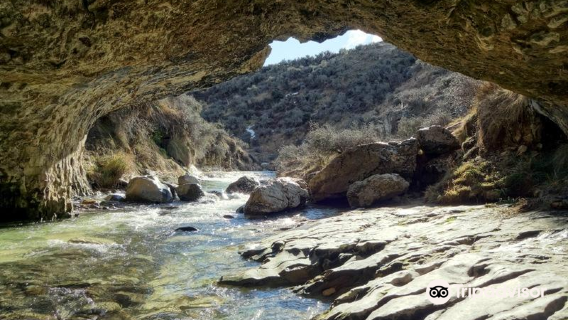 Cave Stream Scenic Reserve