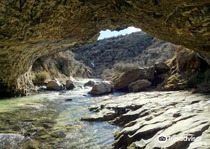 Cave Stream Scenic Reserve