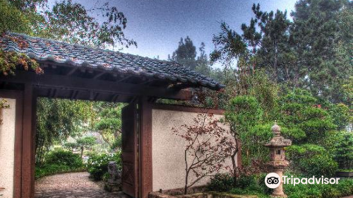 Earl Burns Miller Japanese Garden