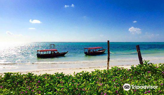 Rising Sun Diving Centre