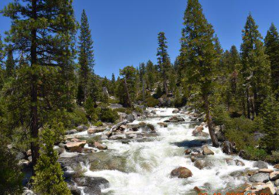 Eldorado National Forest