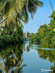 Muthurajawela Marsh