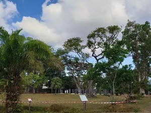 Jardín Botánico Municipal de Cayena