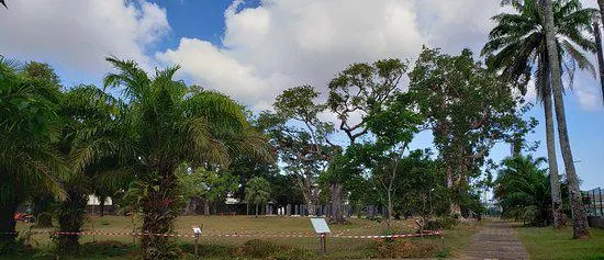 Jardin Botanique