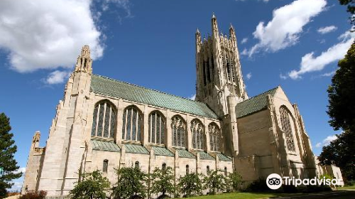 The Cathedral of St. John the Evangelist