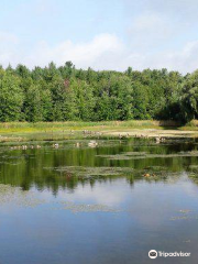 Robert Edmondson Conservation Area