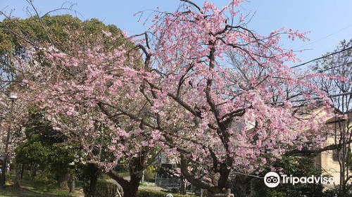 Ibaraki Municipal Kawabata Yasunari Literature Museum