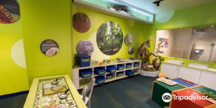 North Museum of Nature and Science