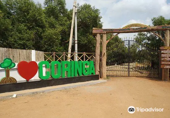 Coringa Wildlife Sanctuary