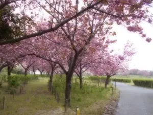 飯森山公園