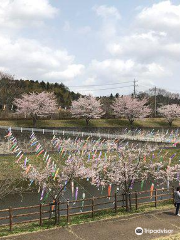 公津の杜公園