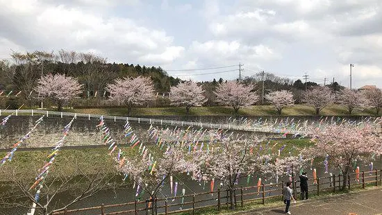 Kozunomori Park